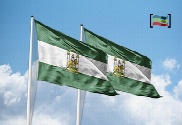 pack de Pack 2 Banderas Andalucía